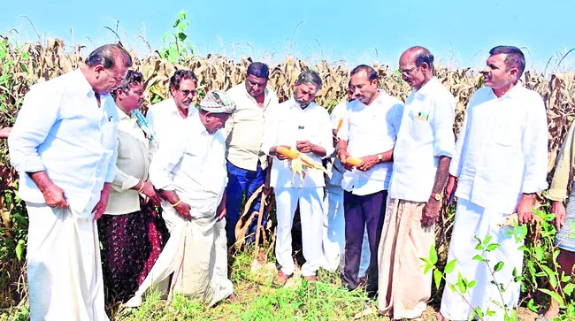 నష్టపోయిన ప్రతి రైతుకూ పరిహారం ఇవ్వాలి