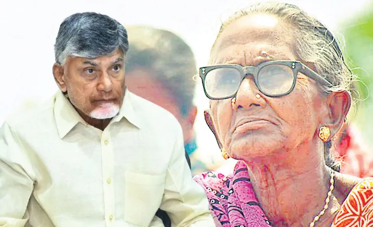TDP Leaders Cheap Politics On Disabled Person Pension