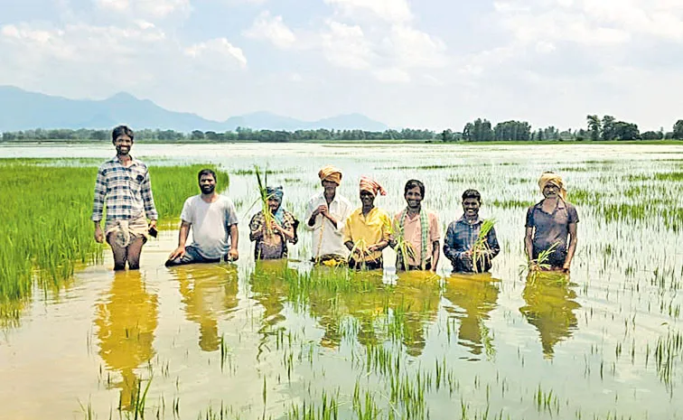 చేలో నీళ్లు.. రైతుకు కన్నీళ్లు