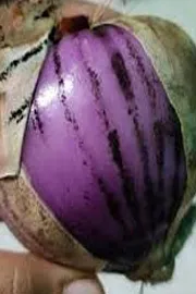 The black layer on your onion could lead to health problems8