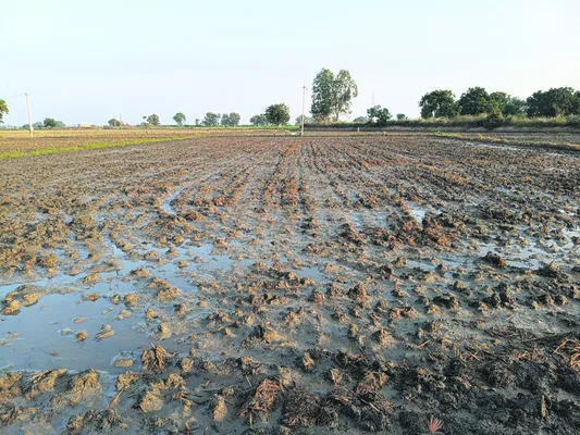 వ్యవసాయ వ్యర్థాలతో భూసారం! 