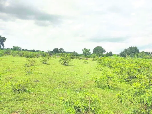 మినీ స్టేడియం పనులు జాప్యం