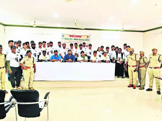 సీతాకోక చిలుకలపై ముగిసిన అధ్యయనం