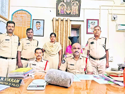 గంజాయి విక్రేత అరెస్టు 
