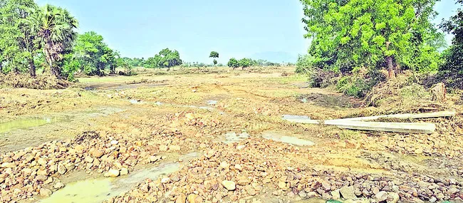 గుండె‘కోత’ 
