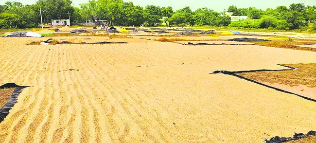 పొలాల్లోనే బేరం