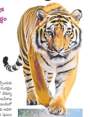 అదిగో