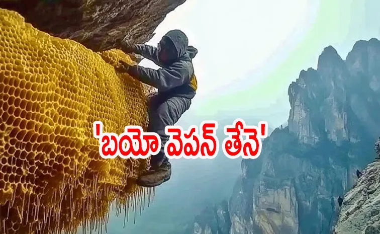 A Teaspoon Of This Nepali Honey Send You To The Hospital