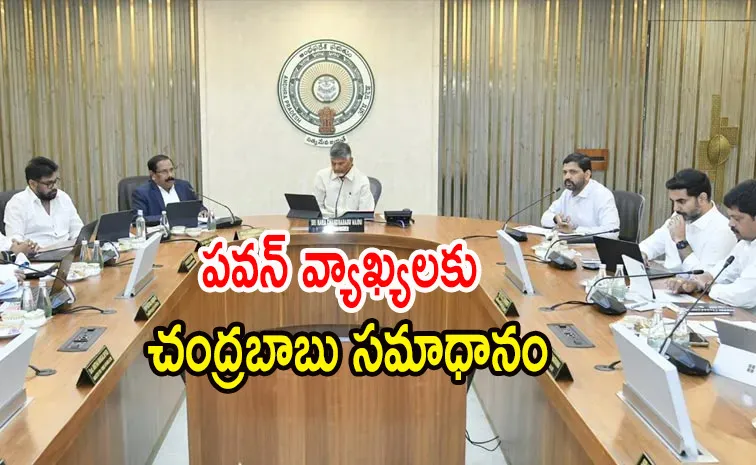 I Am Not Responsible For MLAs Wrong Doings Says CM Chandrababu