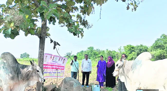 గాలికుంటు వ్యాధి నివారణ టీకా వేయించాలి 
