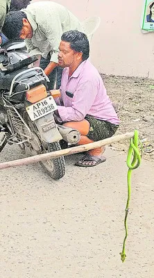 బైక్‌లో దూరిన పాము 