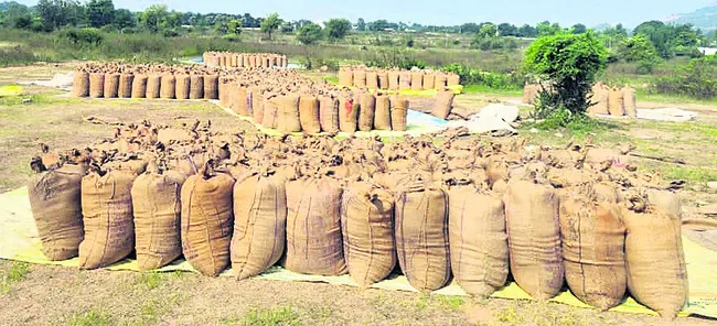 నిలిచిన ధాన్యం ఎగుమతులు
