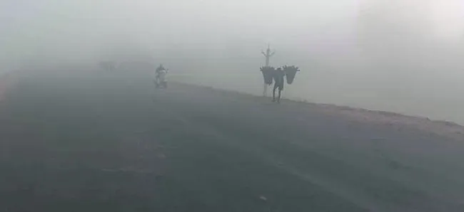 వణికిస్తున్న చలి.. 