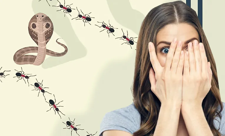 articles about phobias to help raise awareness