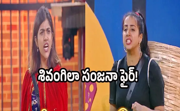 Telugu Reality Show Bigg Boss Latest Promo Fight Between Contestants