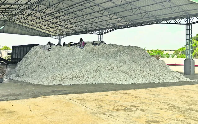 పత్తి అమ్మడానికి అవస్థలు