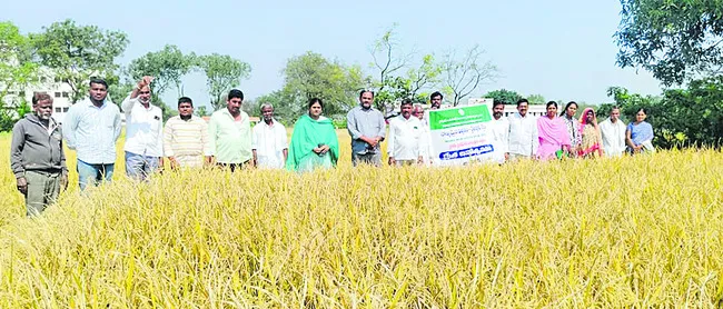 నాణ్యమైన విత్తనాలతోనే దిగుబడులు