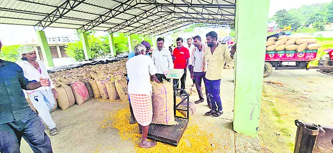 మక్కల కొనుగోలులో గోల్‌మాల్‌ 