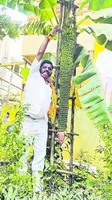 గెలగింత! 