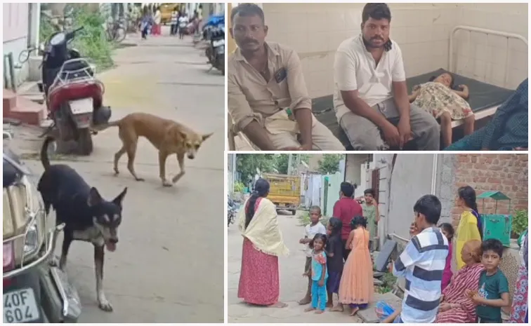 Dog Bites 30 People In Anakapalli District Vaddadi