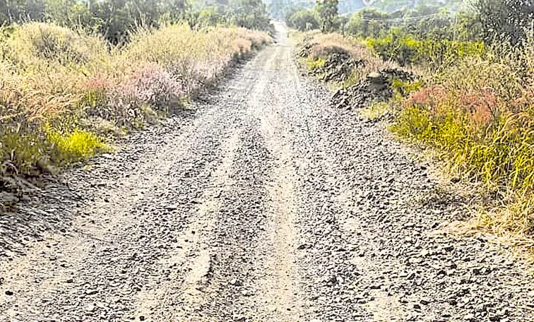 Roads damaged in rains: Telangana
