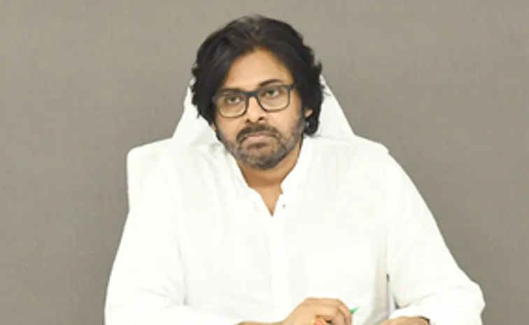 Story On Pawan Kalyan Latest Comments Episode Over Peddyreddy