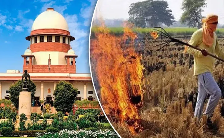SC to examine if farmers are evading satellite surveillance to burn stubble