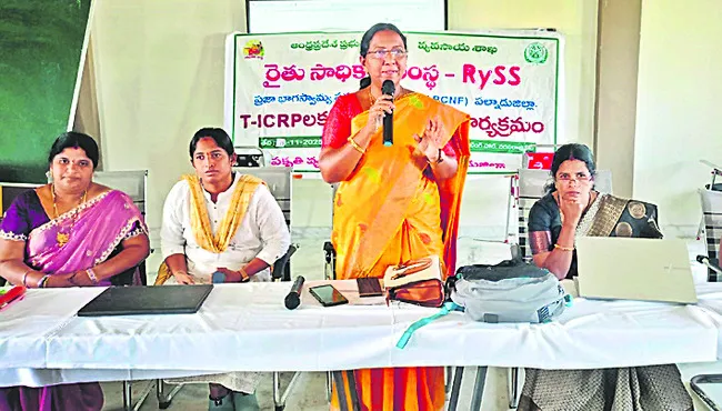 విభిన్న పంటల సాగుతో నిరంతర ఆదాయం 