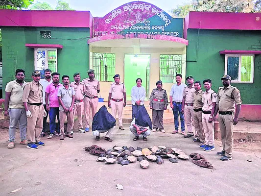 85 తాబేళ్లు పట్టివేత 