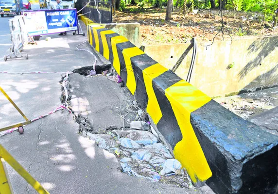 మాకు రంగులే ముఖ్యం!