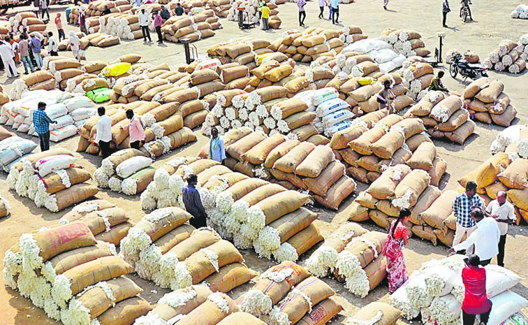 Farmers are worried about not being able to sell their cotton crop