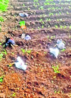 ఫిర్యాదుదారుడిపైనే కేసు నమోదు