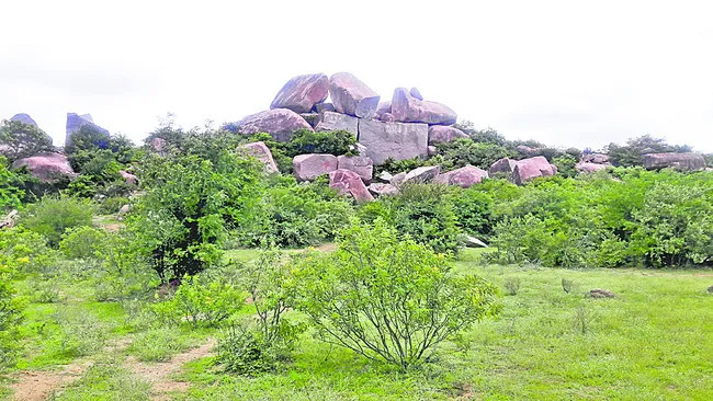 సర్కార్‌ నజర్‌ 