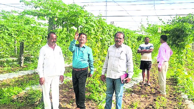 కూరగాయల కొరతకు చెక్‌