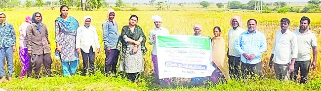 నాణ్యమైన విత్తనాలతో మంచి దిగుబడి 