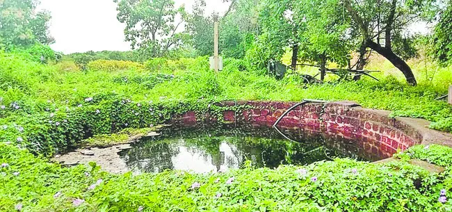 జలం.. పుష్కలం