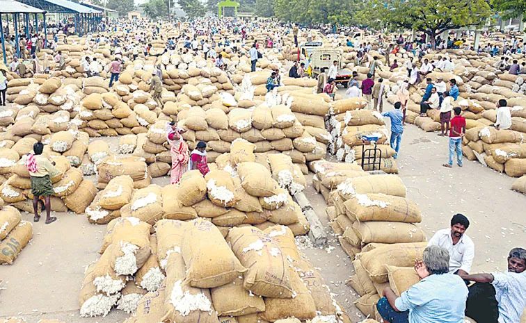 17 నుంచి పత్తి కొనుగోళ్లు బంద్‌