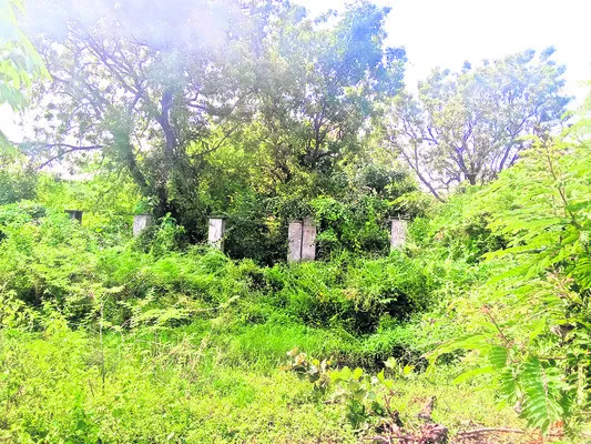 పార్కు పనులకు పాతర..