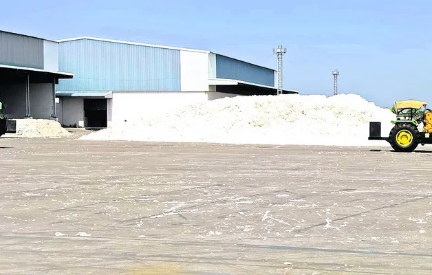 పత్తి కొనుగోళ్లకు బ్రేక్‌