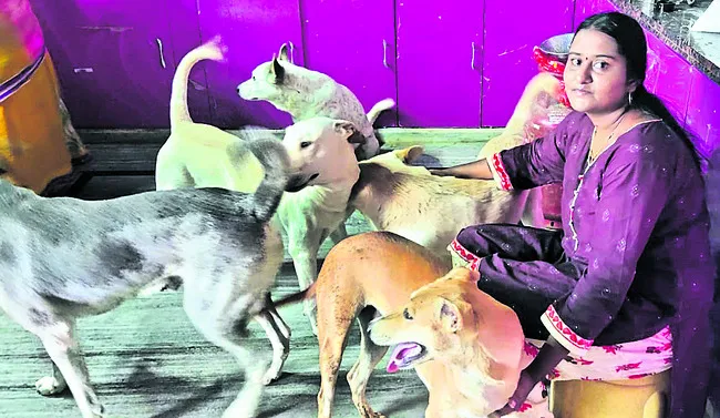 కుక్కపిల్లలంటే   ఆమెకు ప్రాణం
