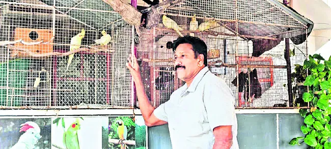 పక్షులకు ఆవాసం..  ప్రకృతితో సహవాసం