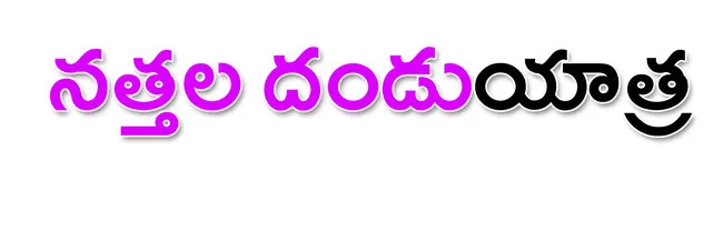 విజయవ