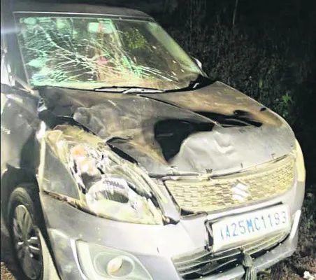 కారు ఢీకొని ఏనుగుకు గాయాలు  