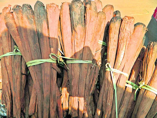 తేగనచ్చేస్తున్నాయ్‌.. 