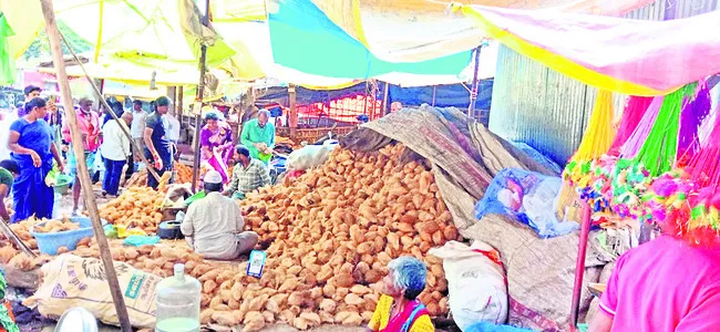 కొండెక్కిన కొబ్బరికాయ 