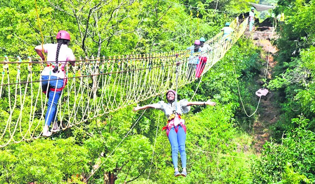 తీరం.. వనం.. జనం..