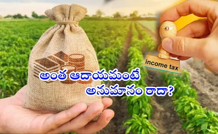 Income Tax: వ్యవసాయ ఆదాయం అంటే..?