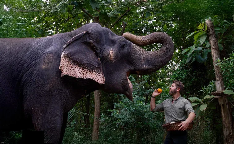 ‘వంతారా-సాంక్చురీ స్టోరీస్’ పేరుతో హాట్‌స్టార్‌లో డాక్యుమెంటరీ