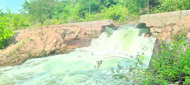 కడెం కాలువకు గండి 
