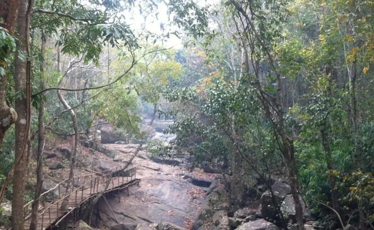 Alluri Maredumilli Encounter Full Details